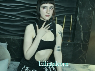 Liliatalcorn