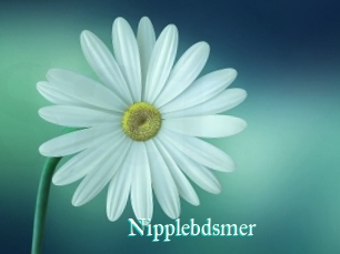 Nipplebdsmer